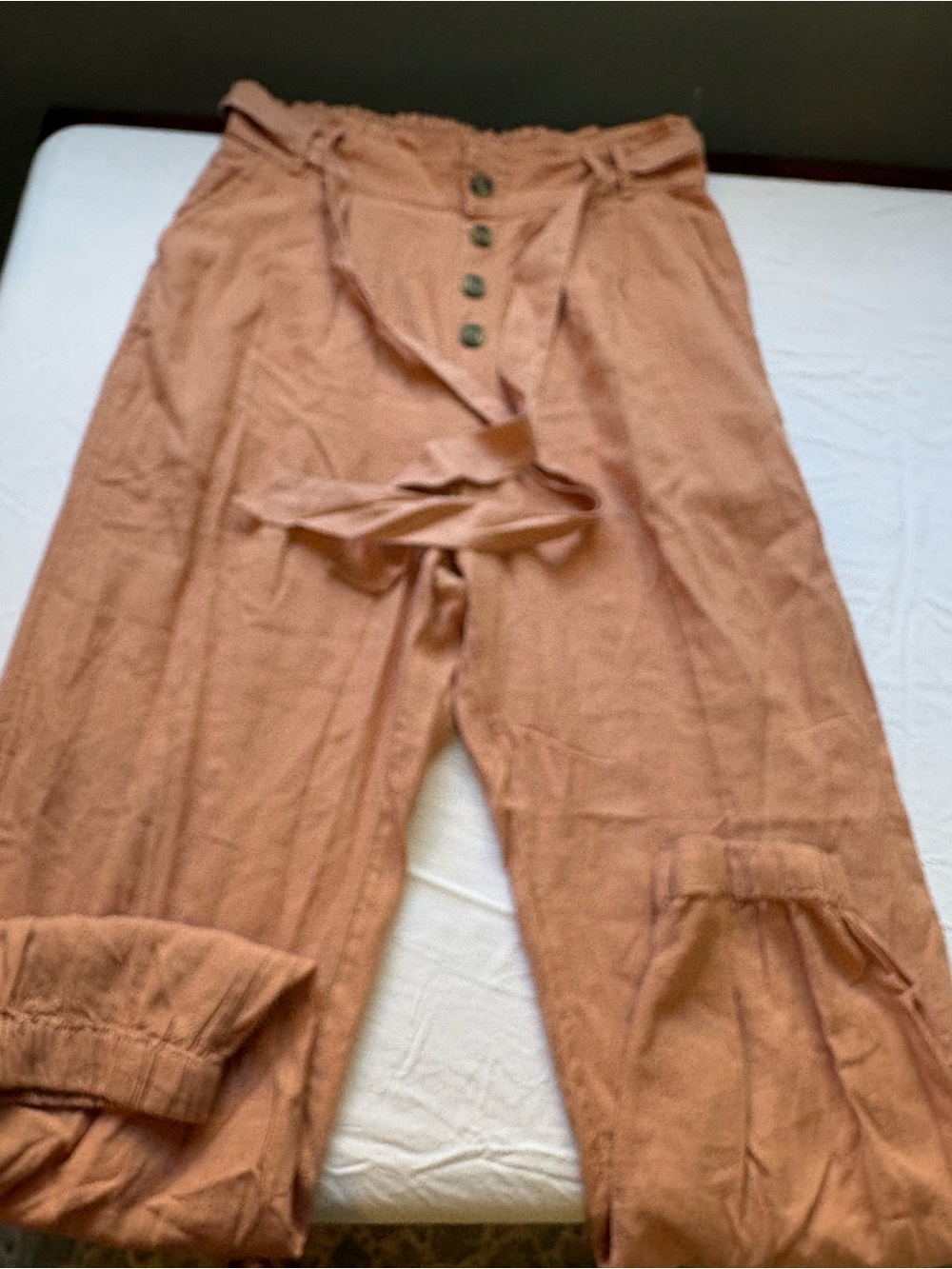 American Eagle Outfitters Wide-Leg Button Front Paperbag Pants in Rust